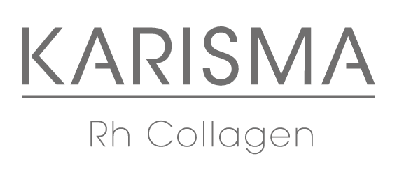 Logo Karisma